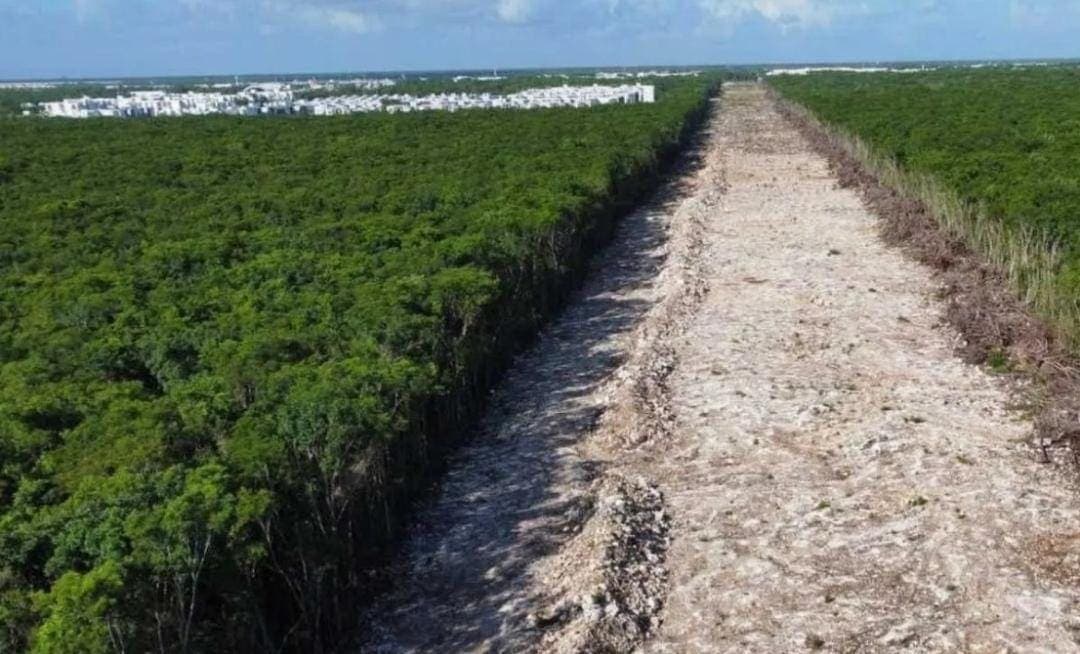 Pide juez copia del decreto por el que el Tren Maya fue nombrado tema de seguridad nacional