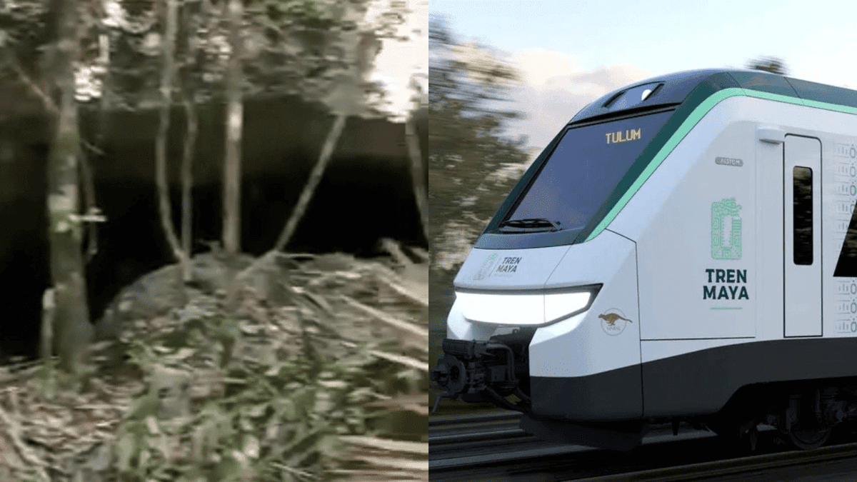 VIDEO: Desmontan vegetación de caverna "Guardianes" para paso del Tren Maya en Playa del Carmen