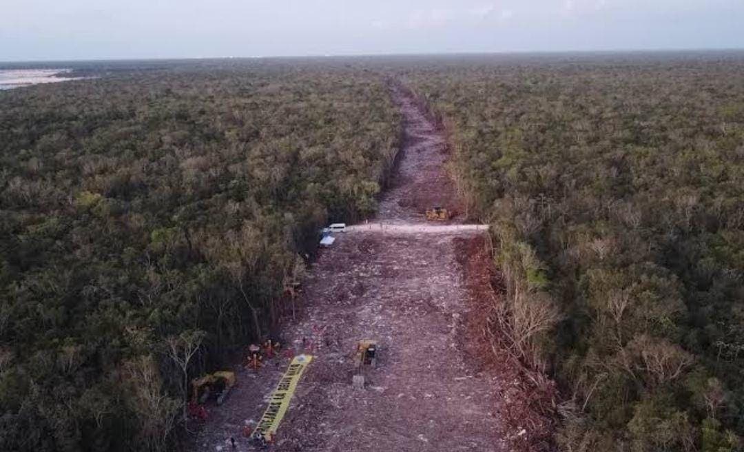 Juez mantiene suspensión; ordena detener los trabajos en el tramo 5 del Tren Maya