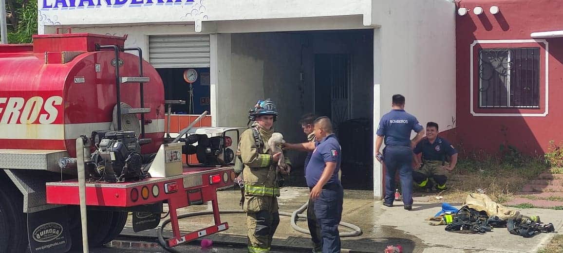 Rescatan a perro de incendio en una casa de Playa del Carmen