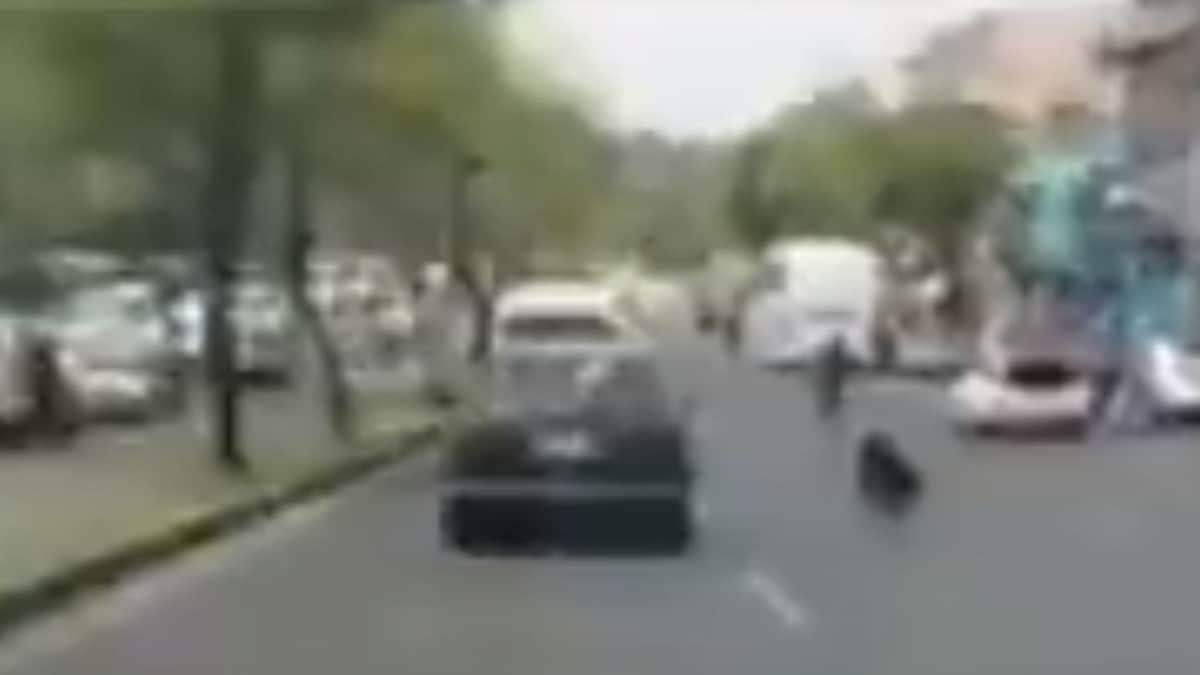 Captan a perrito persiguiendo carro de sus dueños en CDMX tras abandonarlo