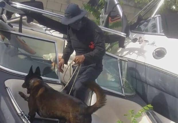 Tulum, logra certificación de elementos para manejo de caninos adiestrados contra narcóticos