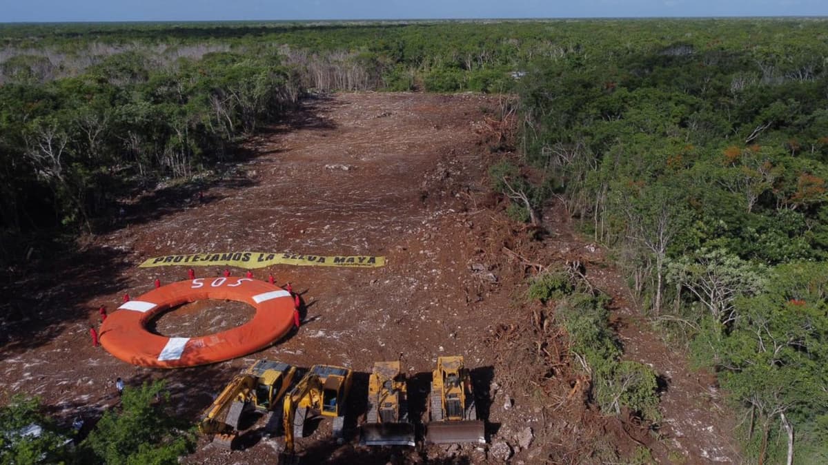 Realiza Greenpeace manifestación contra obras del Tren Maya, aseguran que son ilegales