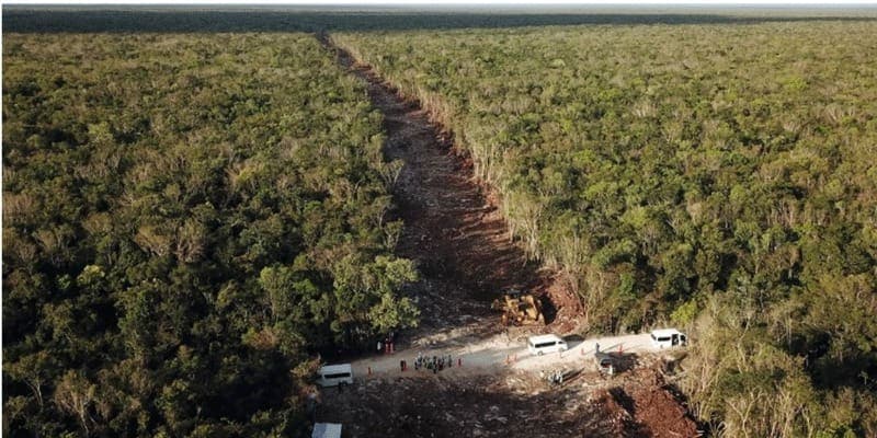 Gobierno declara al Tren Maya como obra de seguridad nacional