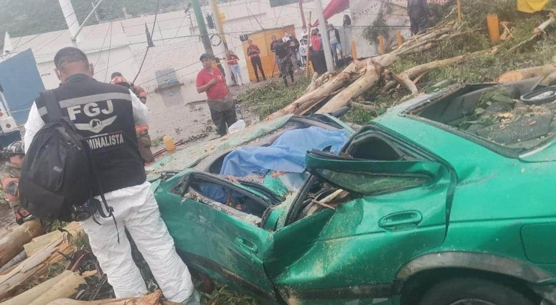 Video: Lluvias derriban un árbol y cae sobre un taxi en Edomex; fallece una persona