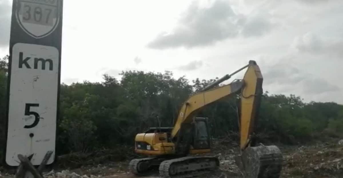 Video: Alertan por desmonte de selva en Puerto Morelos por Tren Maya, pese a falta de MIA