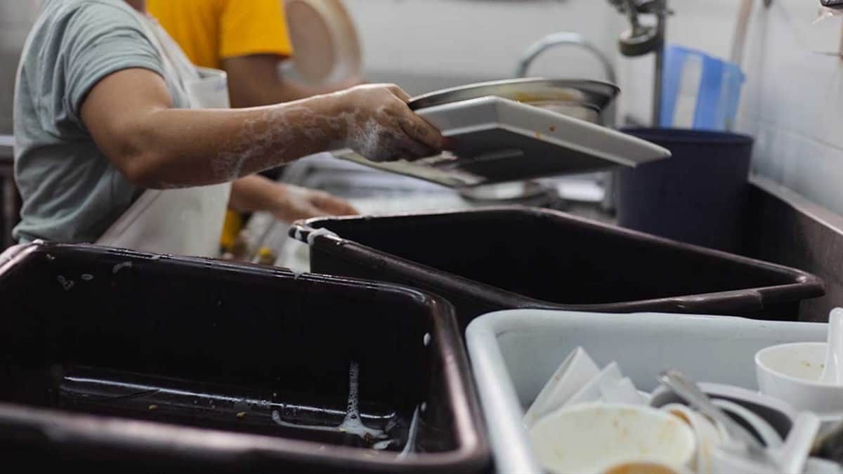 ¡AQUÍ SÍ HAY CHAMBA! Urgen trabajadores de hotelería en Cozumel