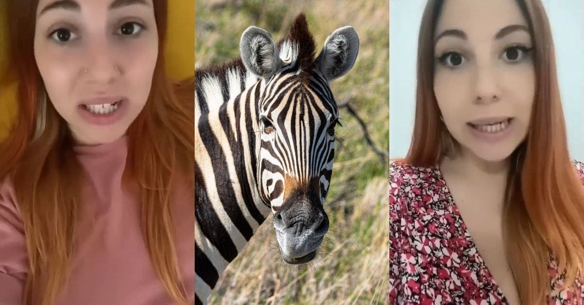 Video: Ella es 'Cebri', la mujer transespecie que ' nació cebra'