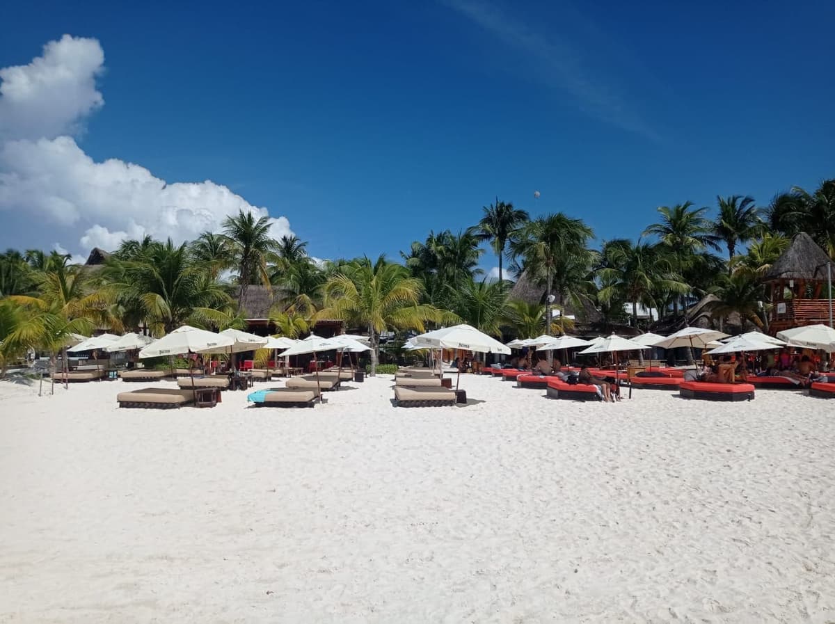 ¡Espectacular! Playa Norte de Isla Mujeres luce increíble y sin sargazo