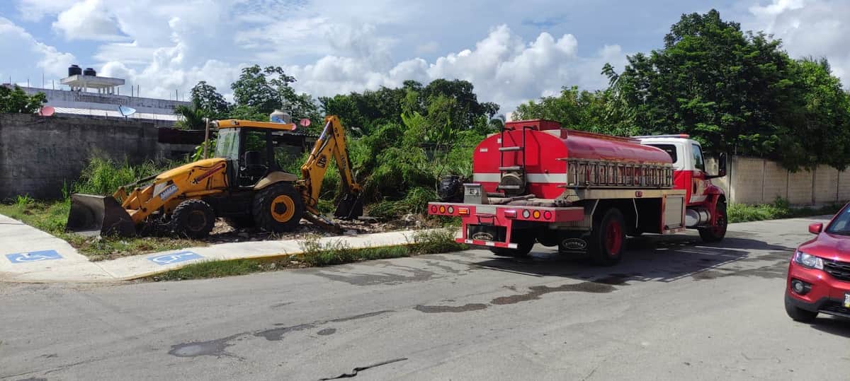 Enjambre de abejas ataca a varias personas en Playa del Carmen