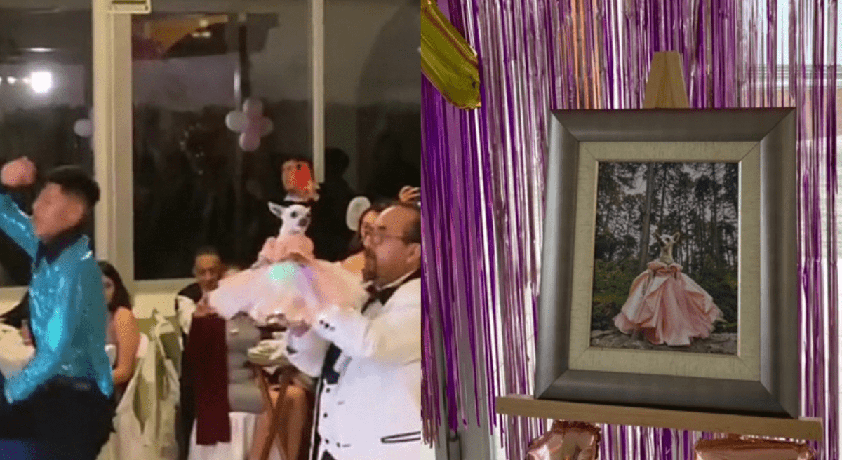 VIDEO: Con vals y vestido celebran XV años de perrita
