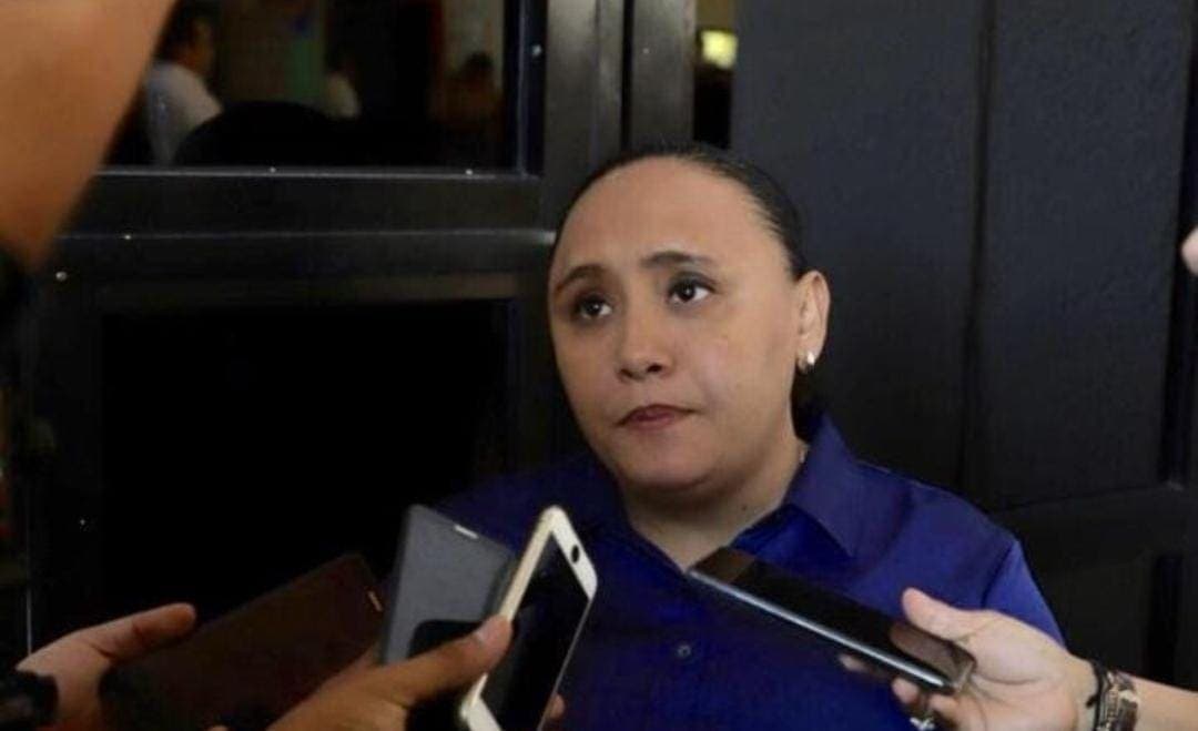 Pese a dificultades, Legislatura fue productiva: Cristina Torres