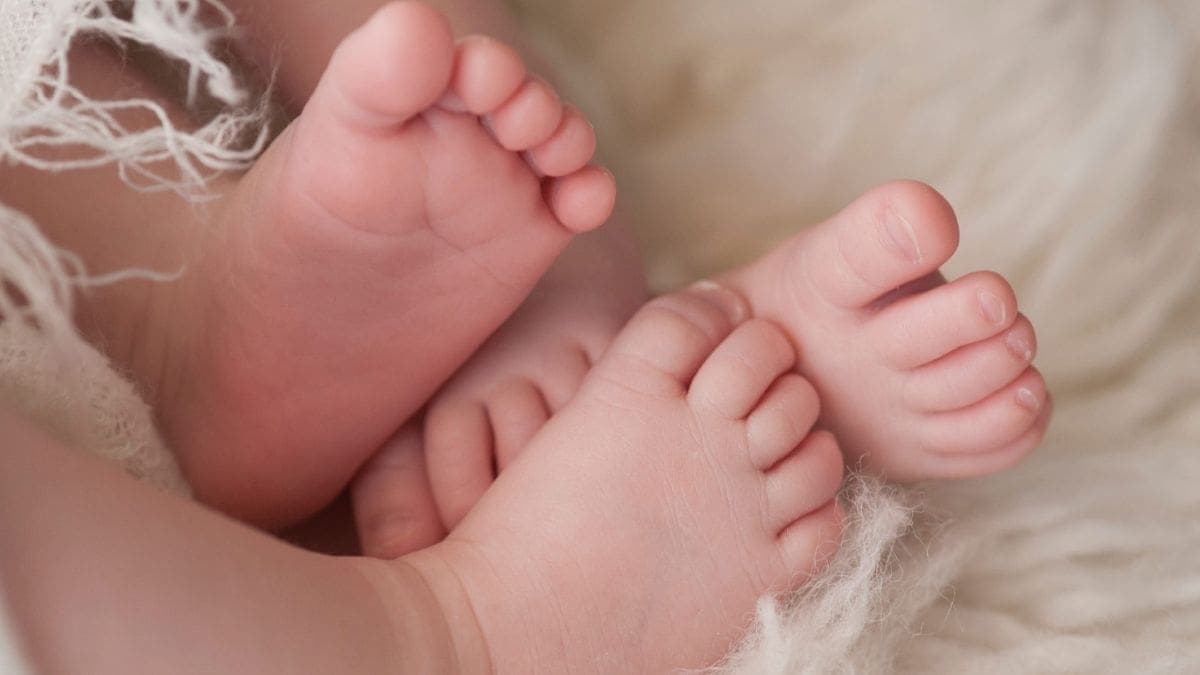 VIDEO: madre confunde a gemelos y no sabe a cuál le dio de comer