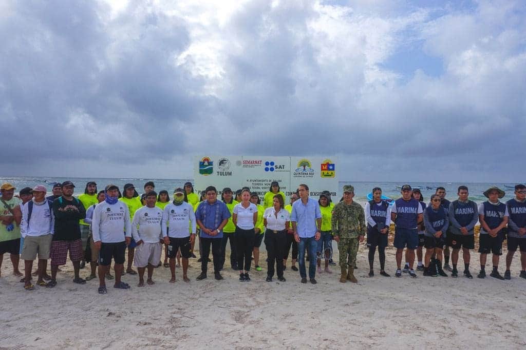 Avanza la instalación de 2,300 metros de barrera anti sargazo en Tulum