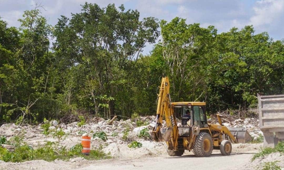 Ambientalistas, dispuestos a dialogar con frente a favor del Tren Maya en Quintana Roo