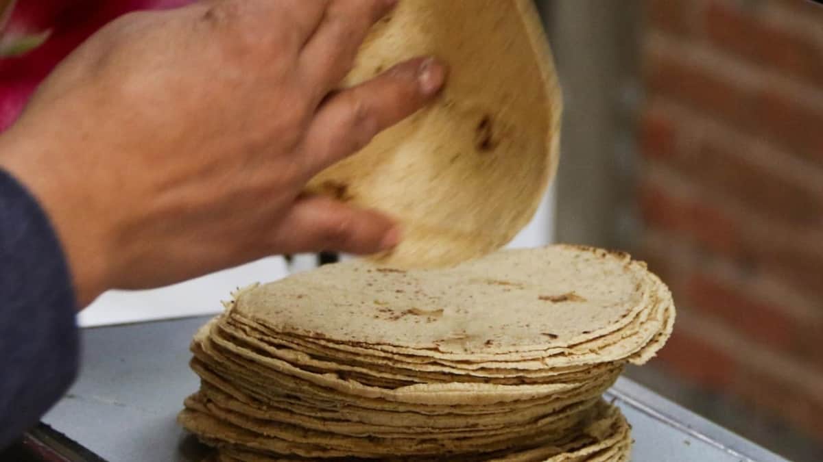 Alertan sobre la aparición de tortillas piratas en el país