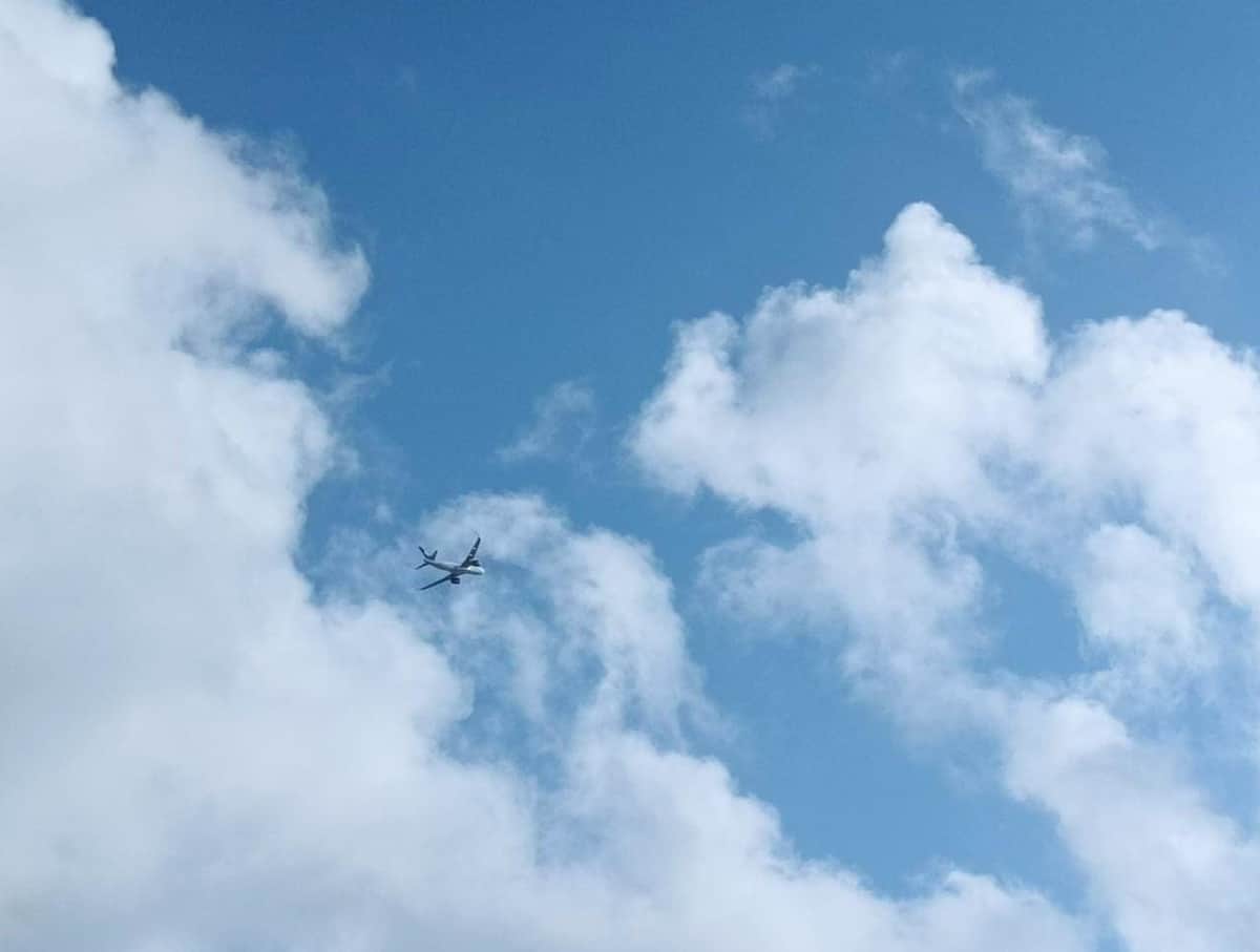 Reducen a un vuelo por día conexión aérea Ciudad de México-Chetumal