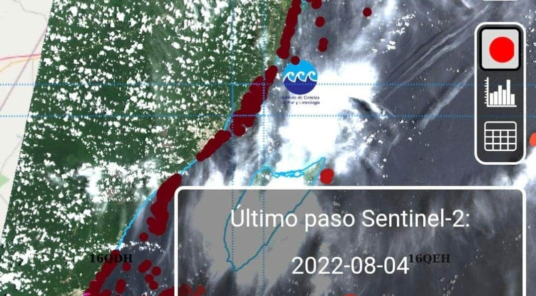 Desarrolla UNAM portal gratuito para monitorear el sargazo en Quintana Roo