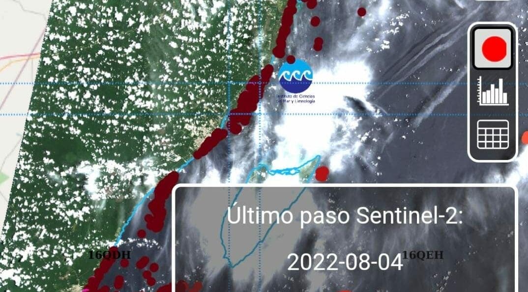 Desarrolla UNAM portal gratuito para monitorear el sargazo en Quintana Roo