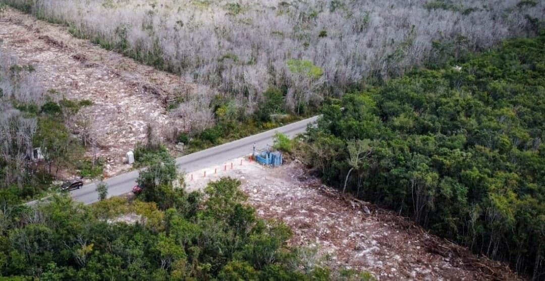 Tren Maya: Afirma gobierno que juez revocó tres suspensiones del tramo 5