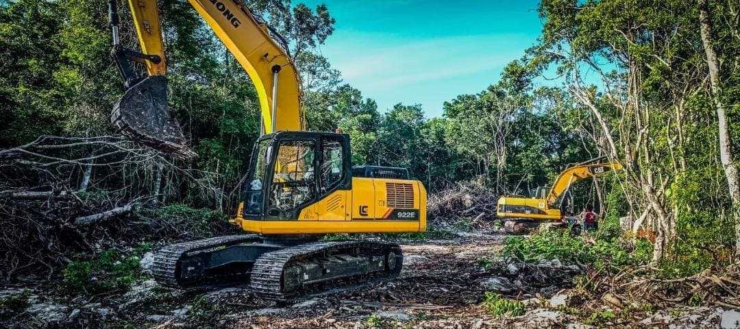 Tren Maya: Concede juez segunda suspensión definitiva por obras del tramo 5 sur