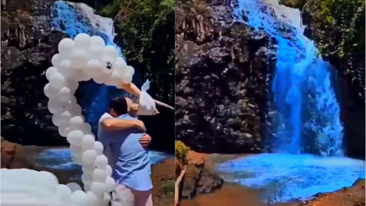 VIDEO: Acusan de contaminación ambiental a pareja que reveló sexo de su bebé pintando una cascada