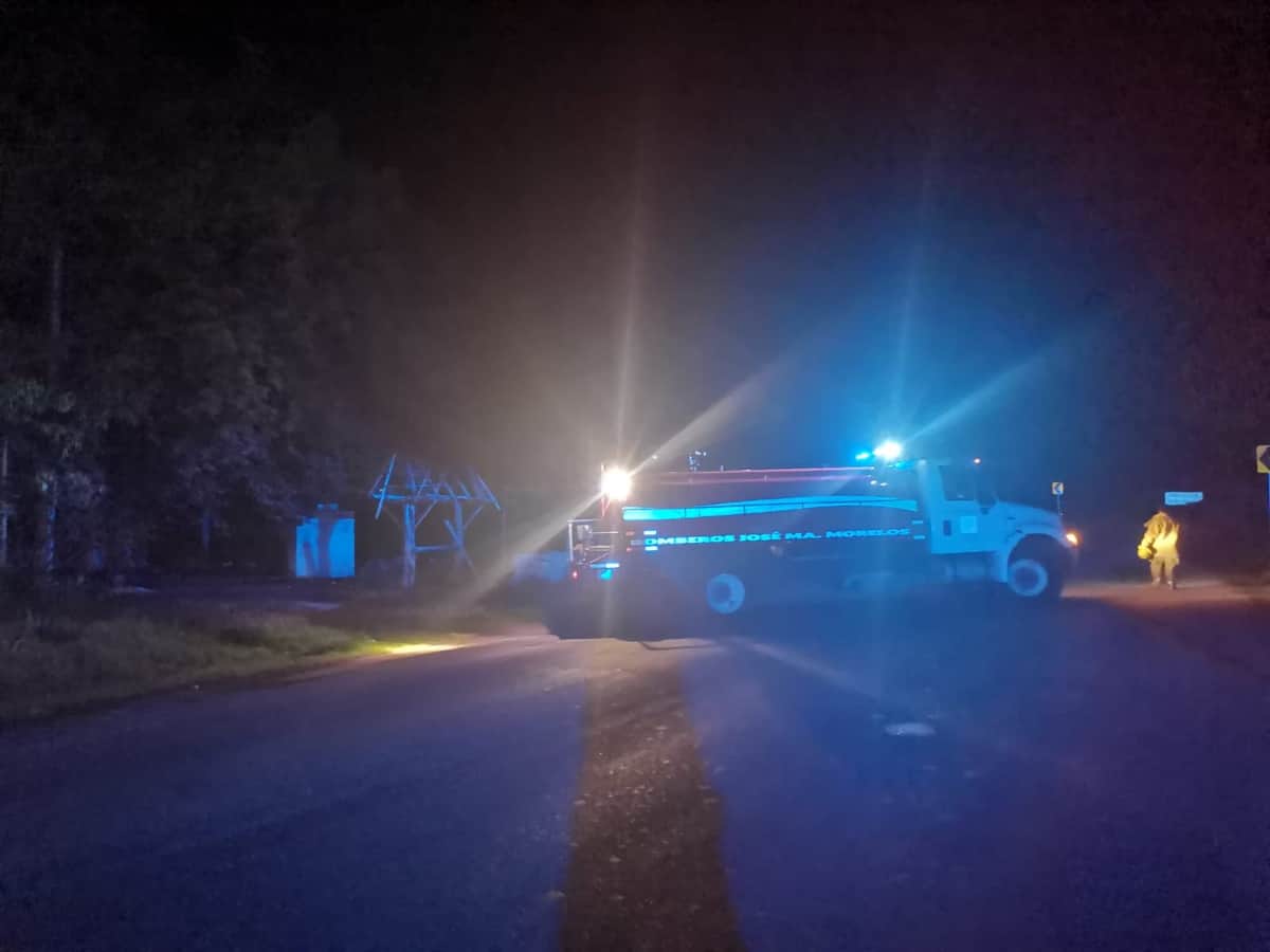 Incendio que presumen fue intencional, mata a perrito en la Zona Maya