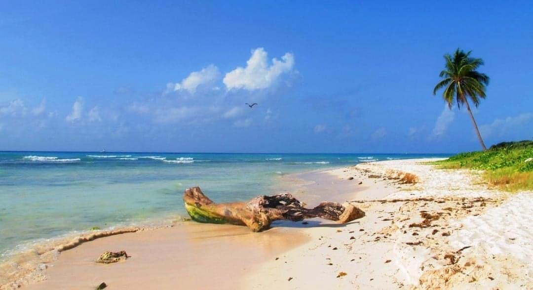 Autoridades de Solidaridad se comprometen a defender el acceso a la playa Punta Esmeralda