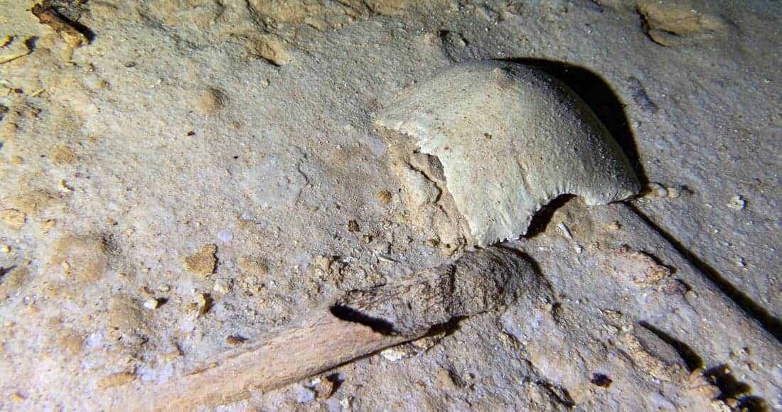 Esqueleto humano prehistórico es hallado en cenote amenazado por el Tren Maya