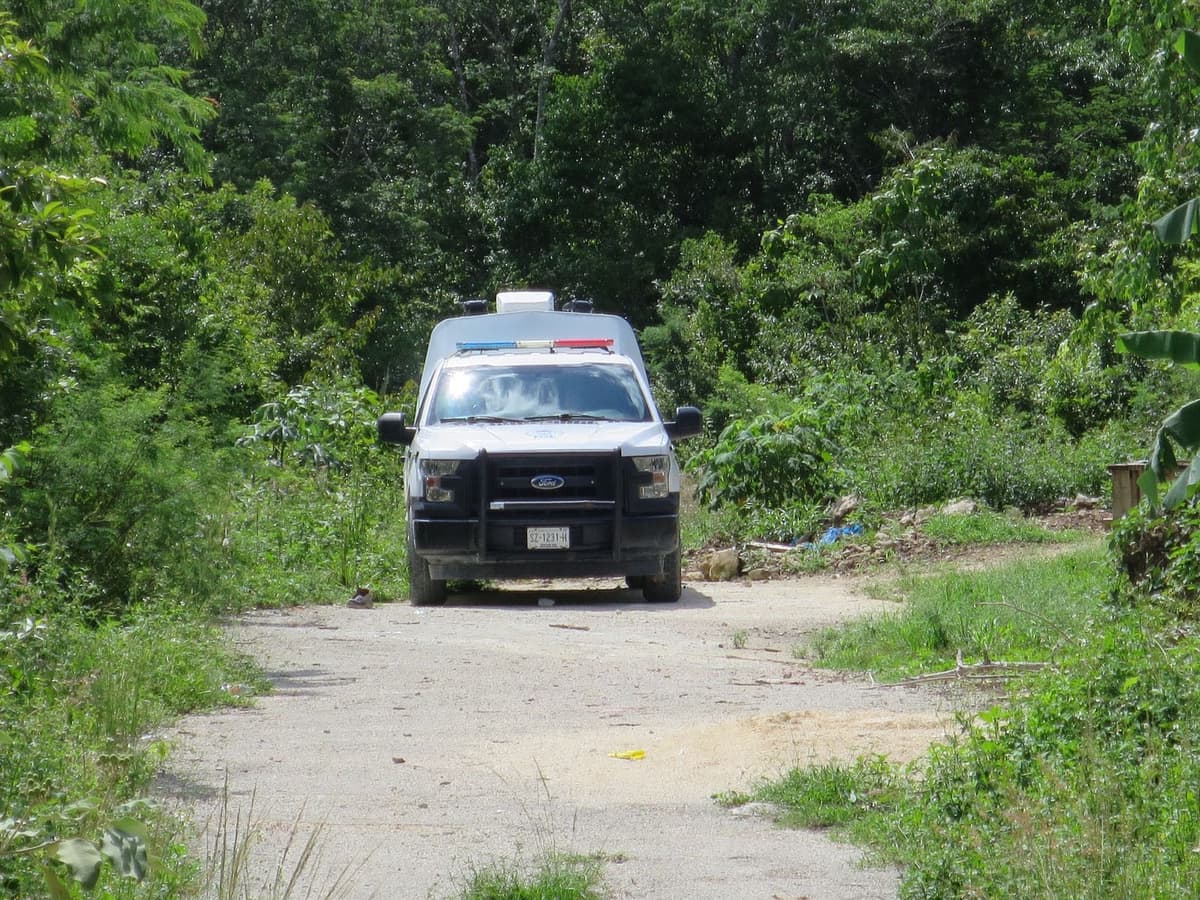 Encuentra Colectivo 'Verdad, Memoria y Justicia' tres cuerpos en descomposición, en la colonia La Amistad de Cancún