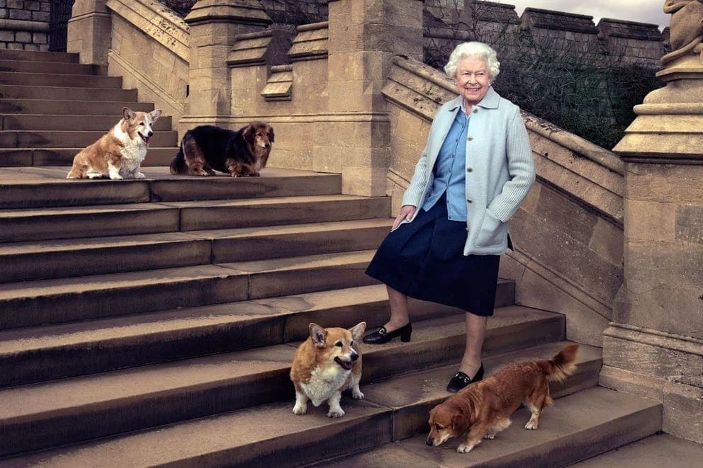 Esto pasará con los perros corgi de la reina Isabel II tras su muerte
