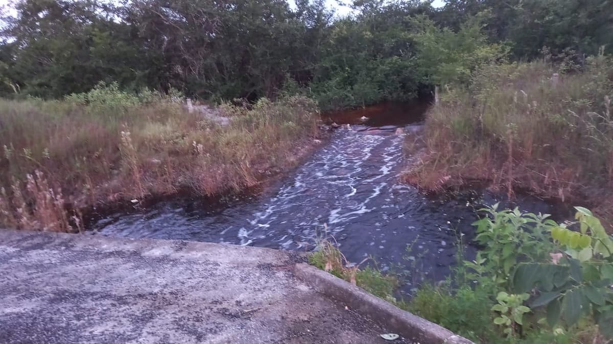 Hombre muere ahogado pescando camarones en zona rural de Felipe Carrillo Puerto