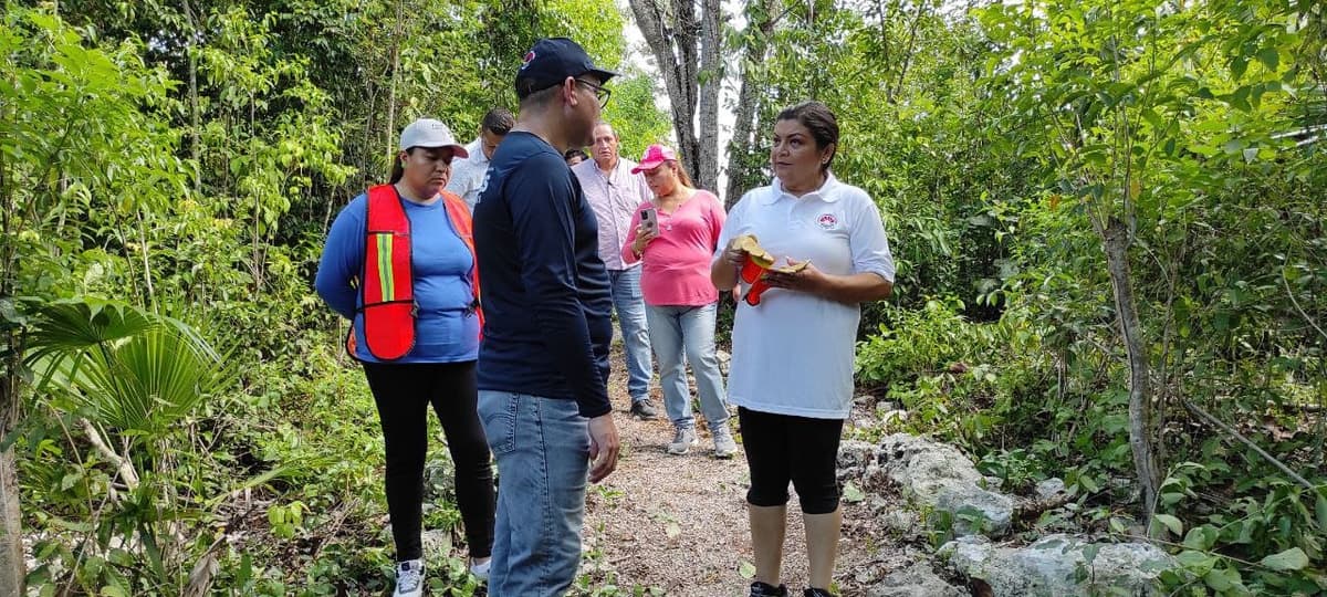 FOMENTA GOBIERNO DE BJ CUIDADO DE CENOTES URBANOS