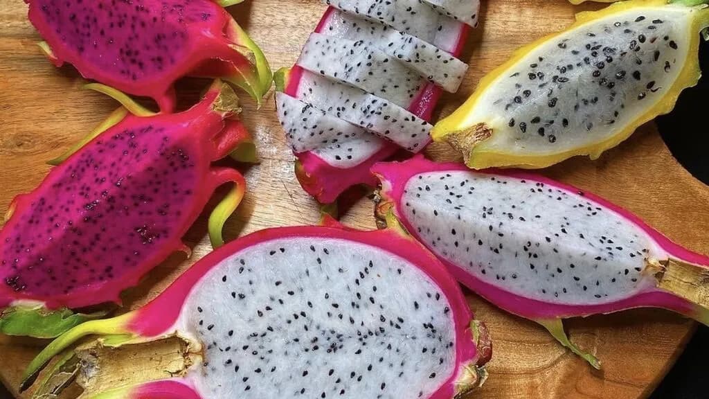 Buscan fomentar el consumo de productos locales con libro sobre frutas y verduras de Quintana Roo