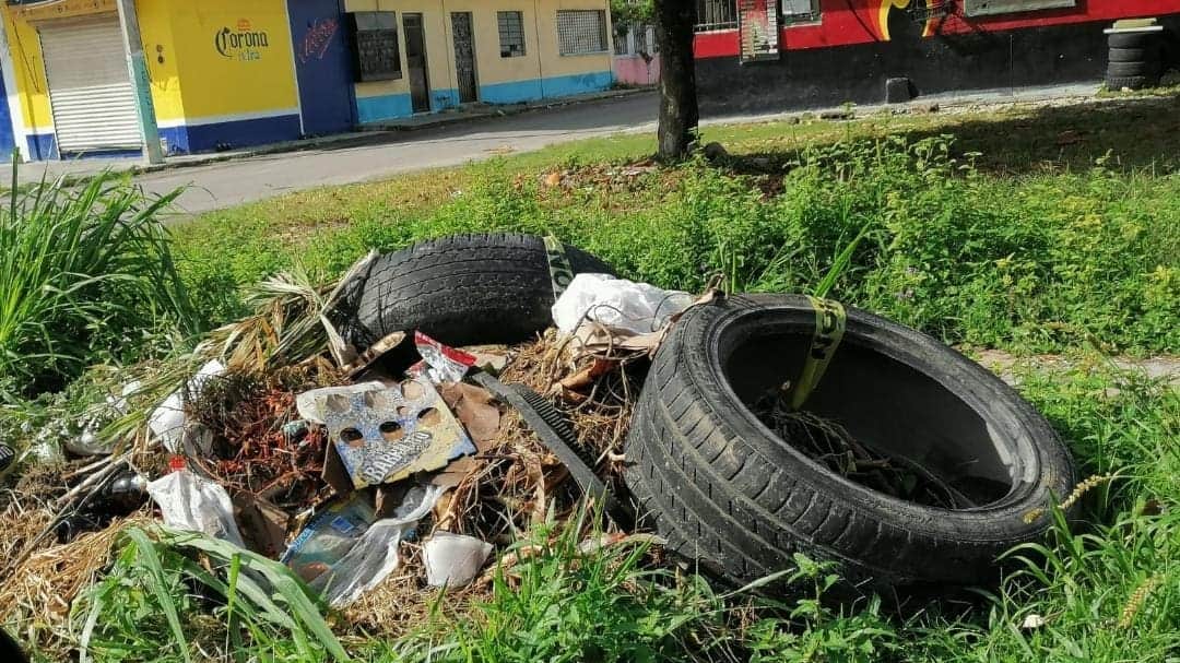 Chetumal, lleno de tiraderos de llantas; autoridades se desentienden del problema