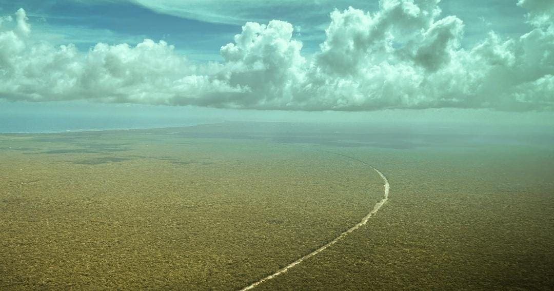 Celebra AMLO desde Quintana Roo que se reactivaran las obras del Tren Maya