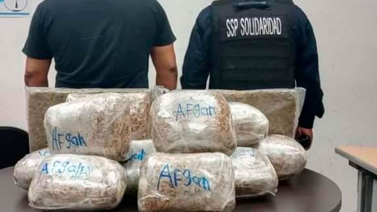 Aseguran 30 kilos de marihuana en domicilio de Villas del Sol en Playa del Carmen