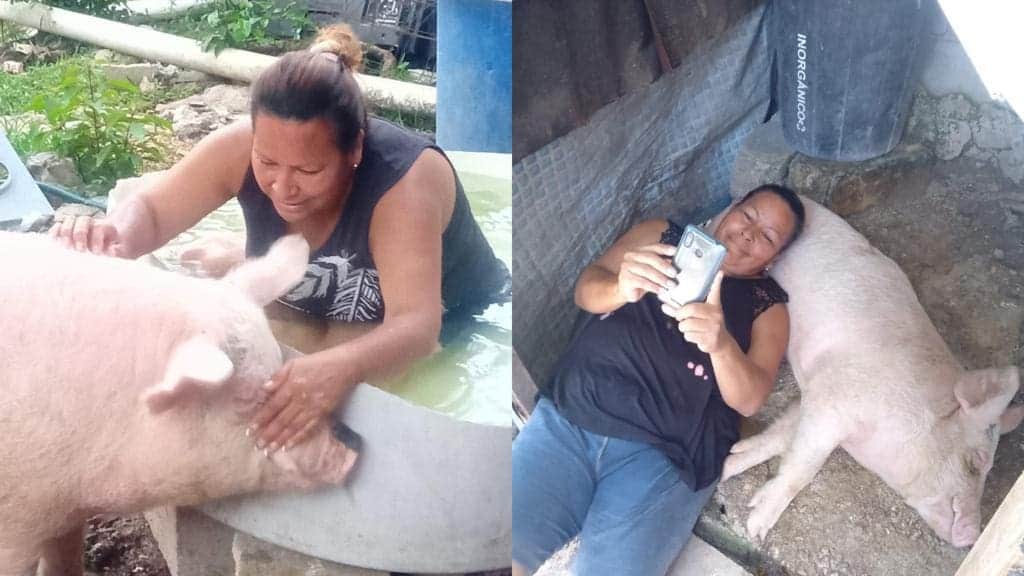 ¡No se lo coman! Cuicuito es parte de la familia, se escapó en Cozumel y su familia lo busca