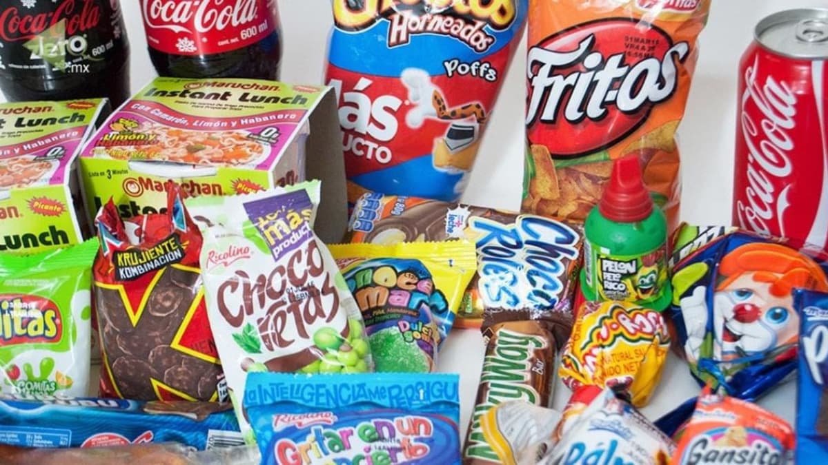 Hasta 70% de menores presentan desnutrición u obesidad en Playa del Carmen y Q. Roo