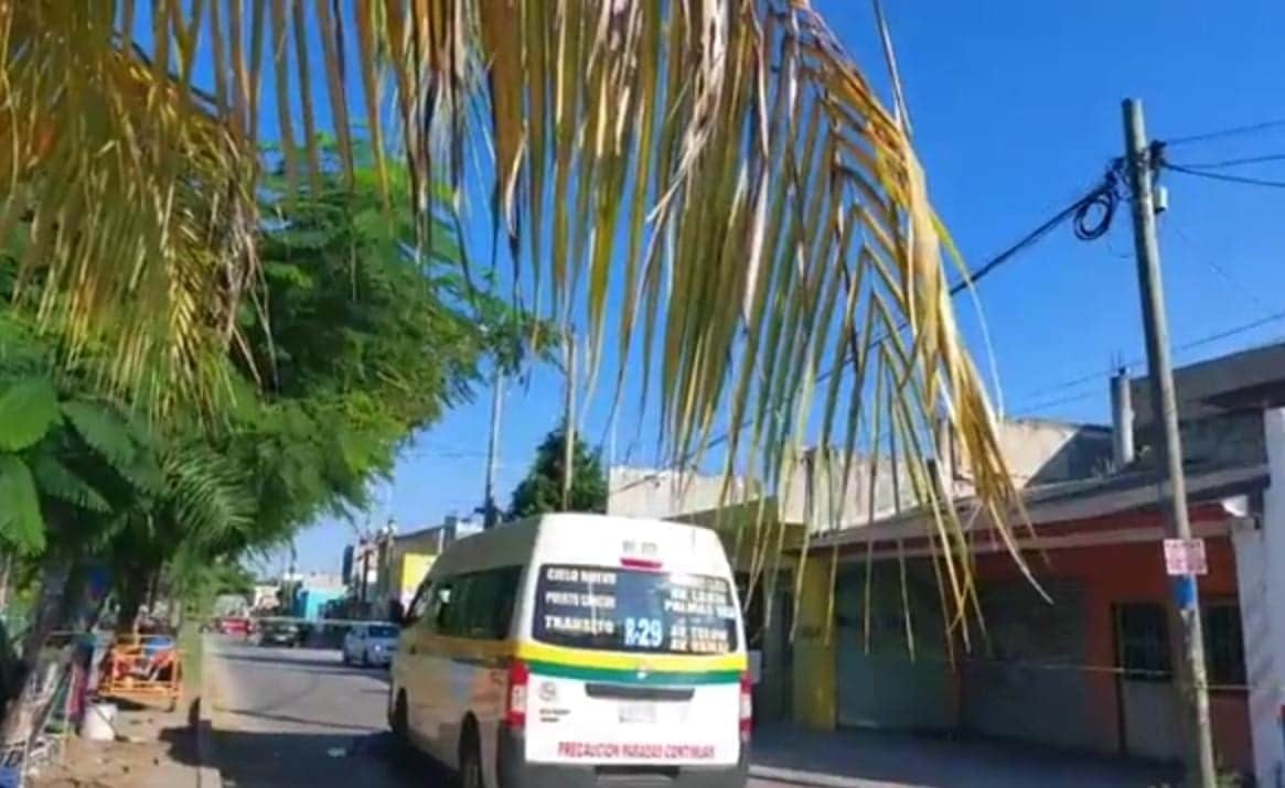 Mujer de la tercera edad pierde la vida tras ser atropellada por combi de la Ruta 29 en Cancún