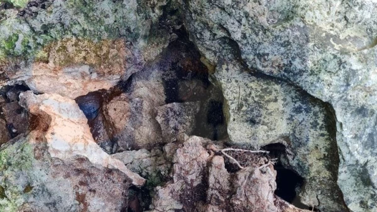 Más de la mitad de cenotes urbanos censados en Cancún están contaminados