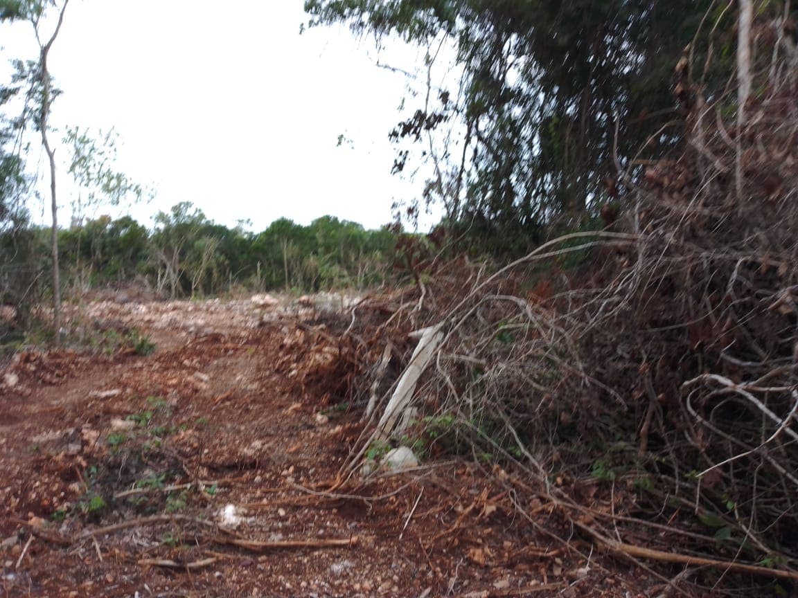 Inician trabajos del Tramo 6 del Tren Maya