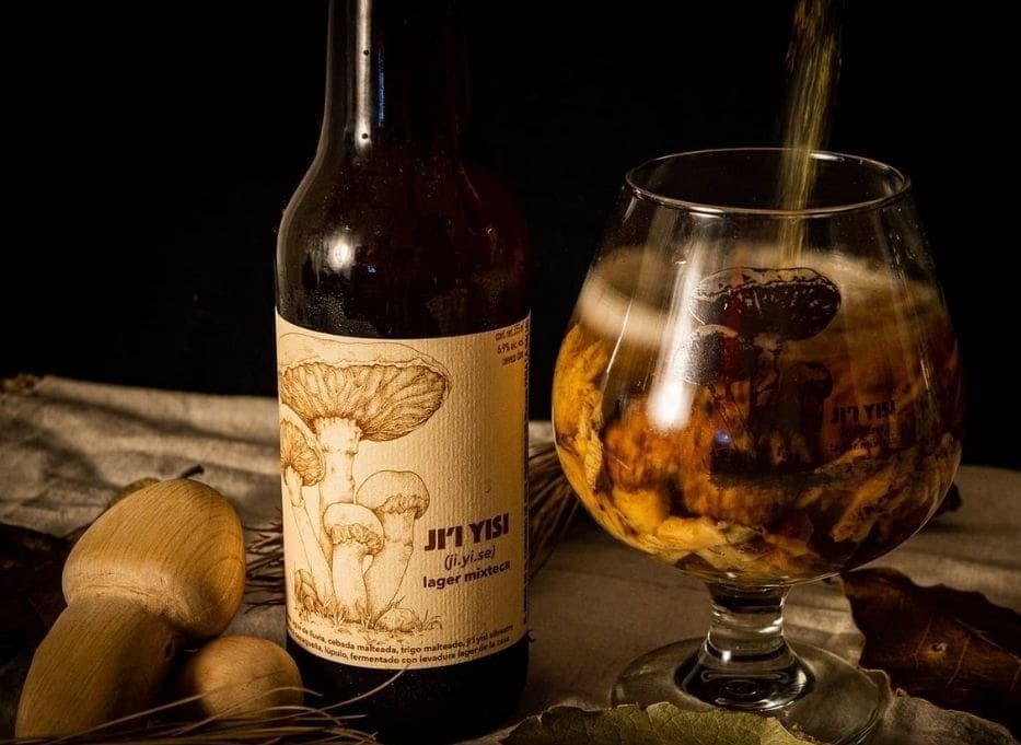 Lanzan primera cerveza mexicana hecha con hongo matsutake de Oaxaca
