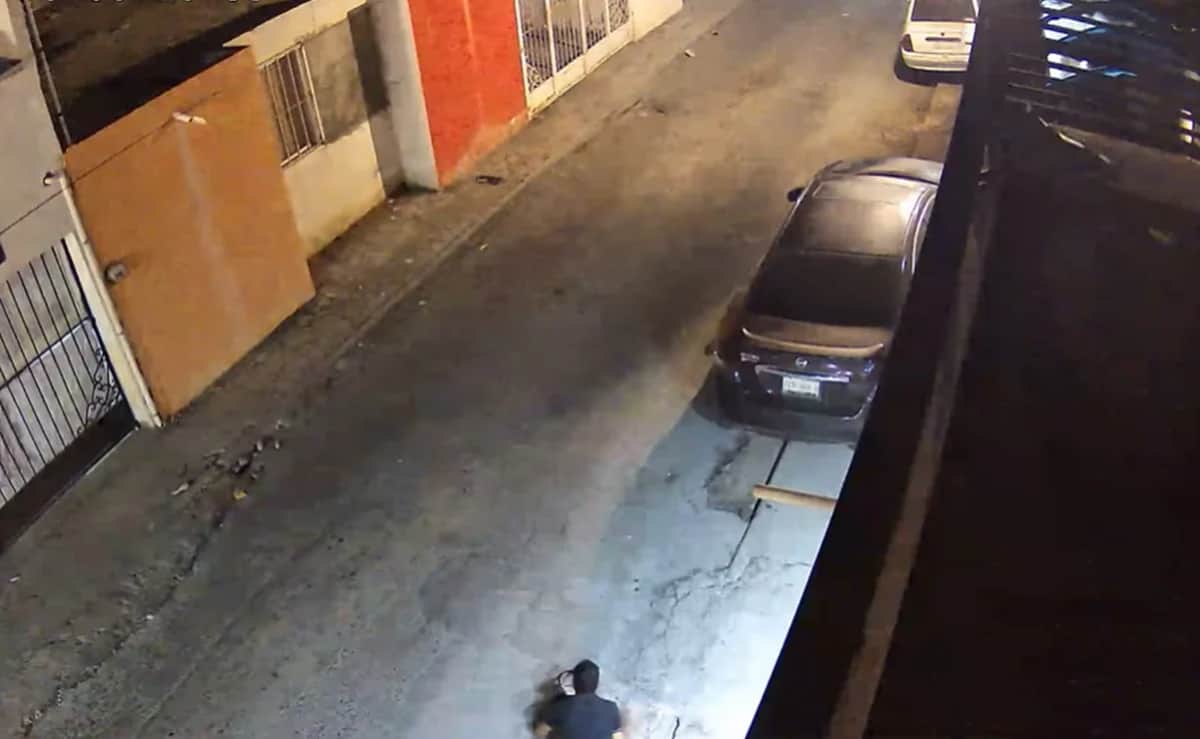 Video: Perros frustran robo en casa de Saltillo y hacen saltar a asaltante desde azotea