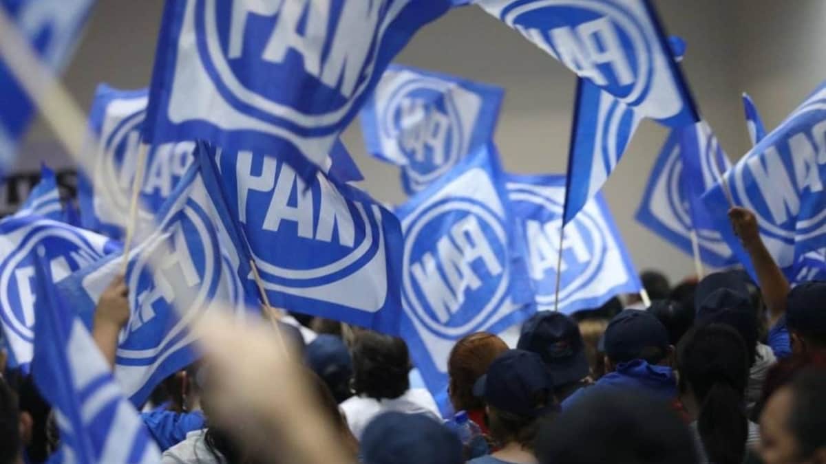 Elige PAN a dirigentes municipales en Q. Roo; Jorge Pat ganó en BJ, Danna Ramírez en Solidaridad