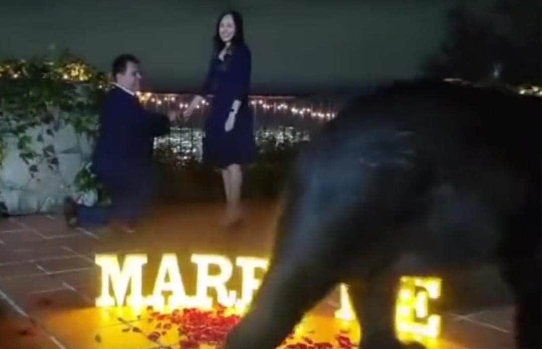 Video: Oso interrumpe una propuesta de matrimonio en Nuevo León