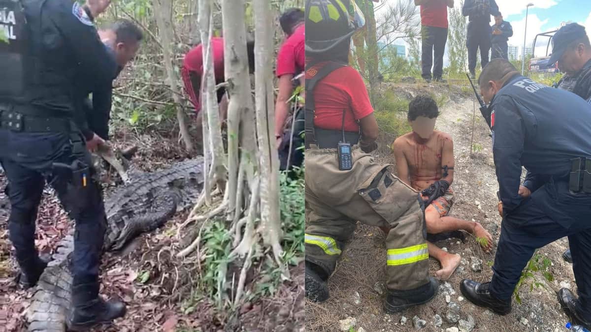 Rescatan a hombre atacado por un cocodrilo en la zona de mangle del Malecón Tajamar