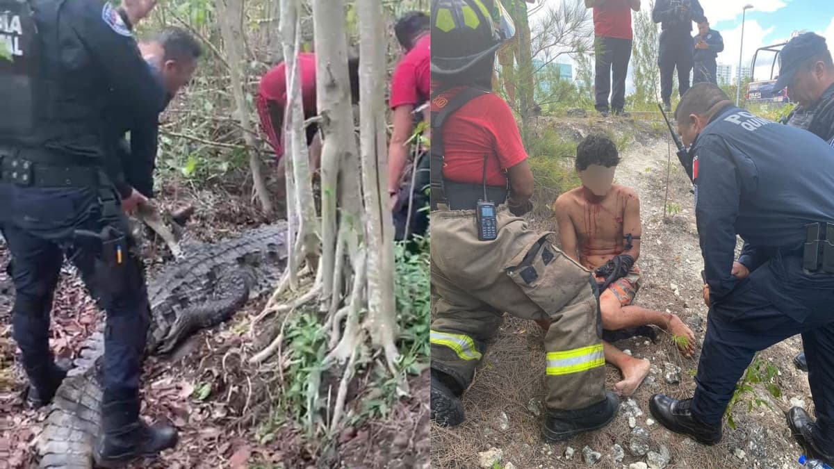 Rescatan a hombre atacado por un cocodrilo en la zona de mangle del Malecón Tajamar