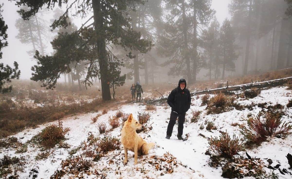 Video: La primera nevada del año cayó en Nuevo León