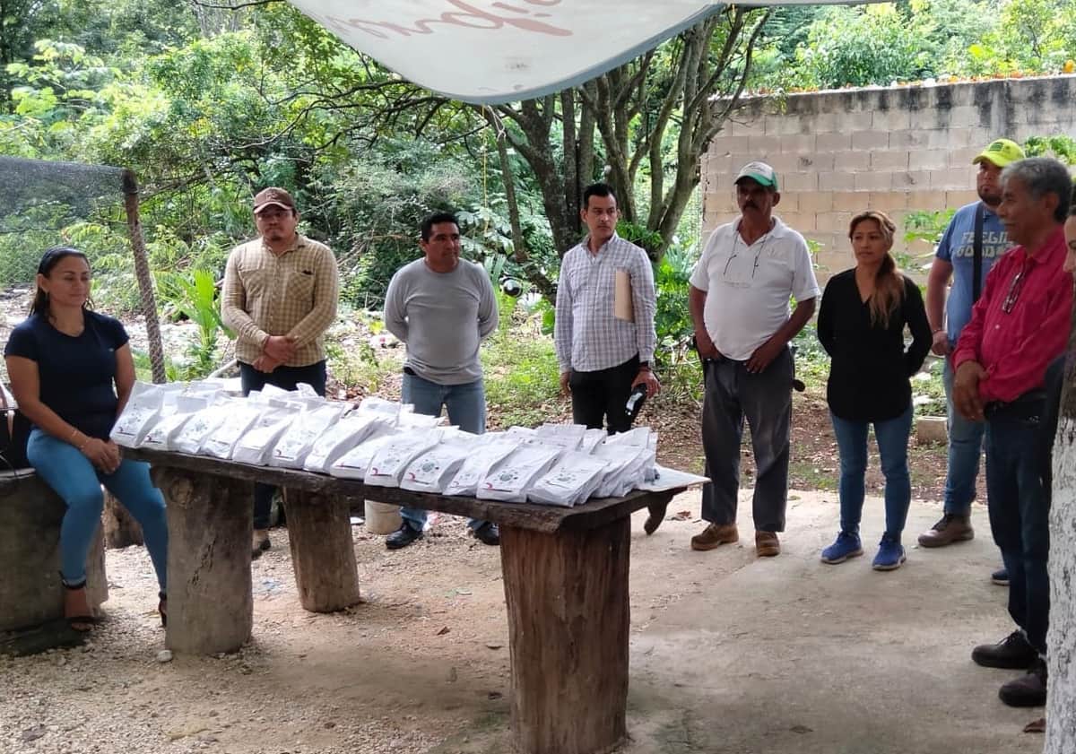 Fortalecen a mujeres del campo portomorelense con la entrega de semillas de hortaliza